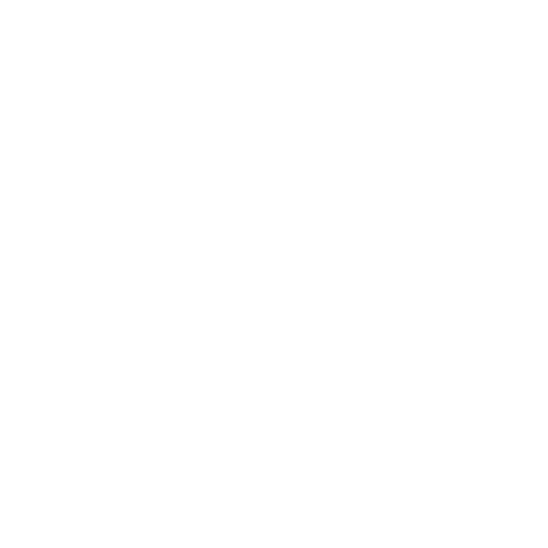 Logo SOEA 2026