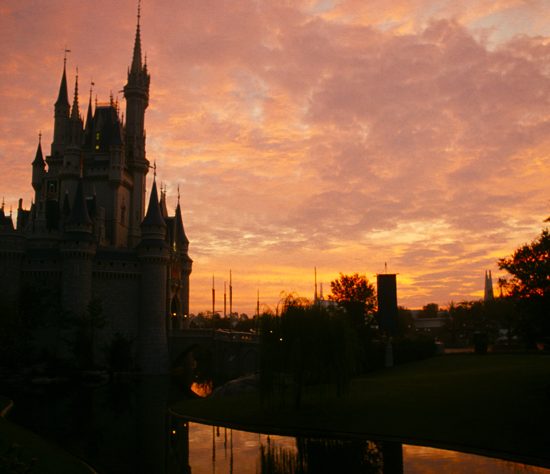 Disney - Orlando