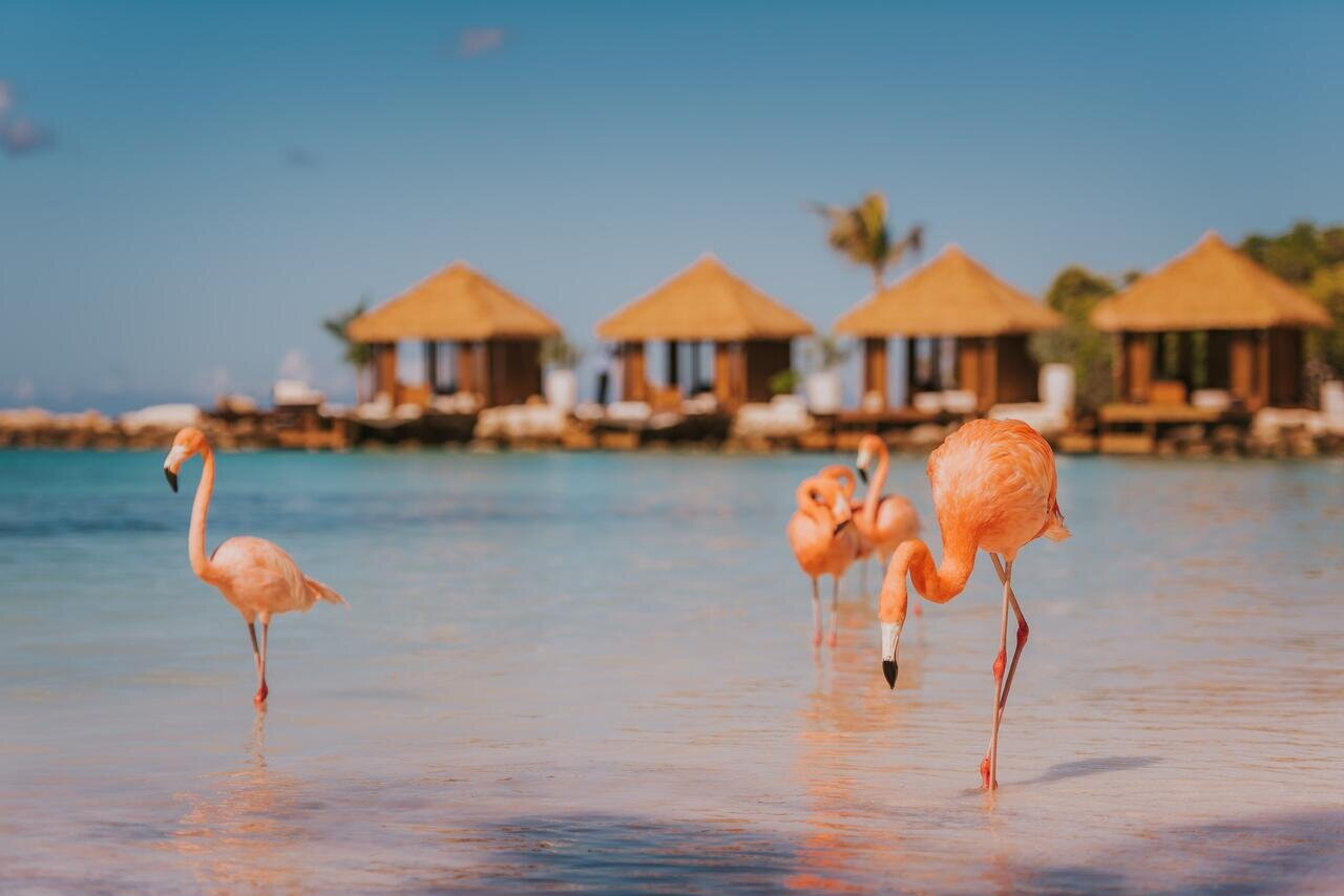 Aruba